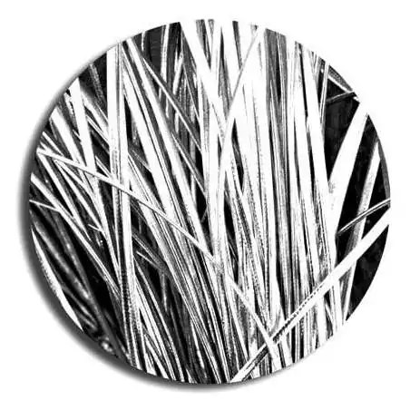 Lacets fins métallisés argentés pour vos chaussures