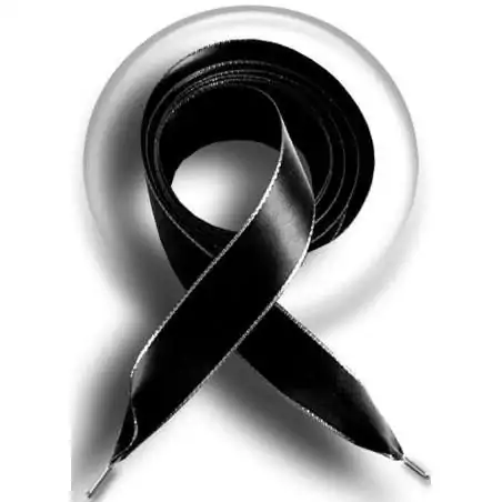 Lacets de chaussures larges satin noir argenté-Achat|Vente…