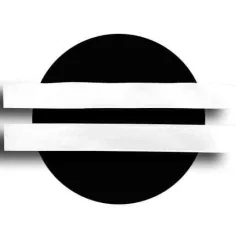 Lacets fins en satin blanc pour vos chaussures 2