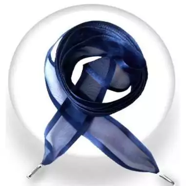 Lacets organdi gansé satin bleu marine pour vos chaussures