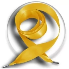 Lacets larges en satin moutarde pour vos chaussures 2