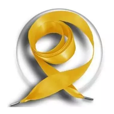 Lacets larges en satin moutarde pour vos chaussures