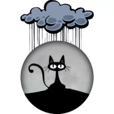 Envie de décorer vos chaussures ? Décorations&nbsp;chat désabusé 2