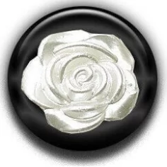 Envie de décorer vos chaussures ? Décorations Rose&nbsp;blanche 2