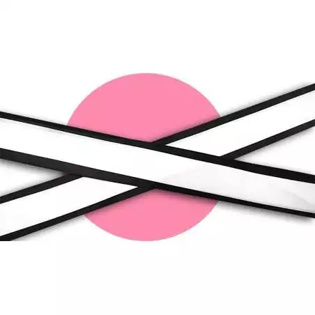 Lacets en satin large&nbsp;blanc gansé noir pour vos chaussures