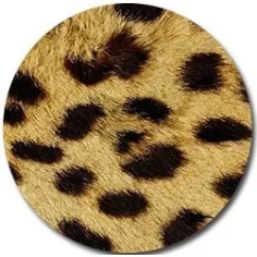 Socquettes&nbsp;léopard pour vos jolis pieds 2