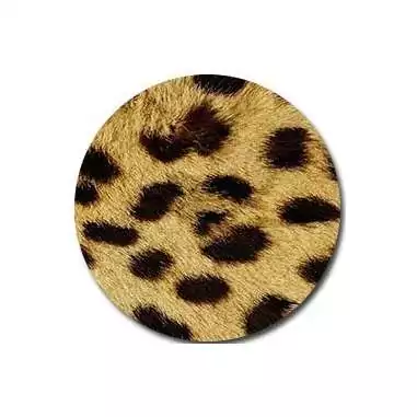 Socquettes&nbsp;léopard pour vos jolis pieds