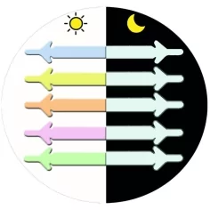 Lacet extensible silicone phosphorescent pour vos chaussures 2