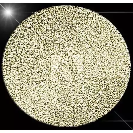 Lacets paillettes brillants champagne pour vos chaussures