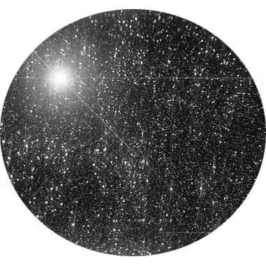 Chaussettes&nbsp;noires pailletées pour vos jolis pieds