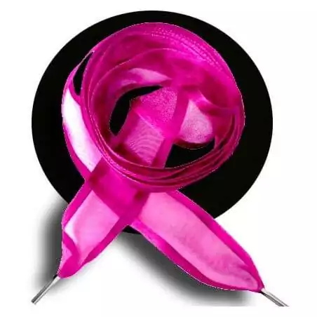 Lacets organdi&nbsp;fushia gansé de satin pour vos chaussures