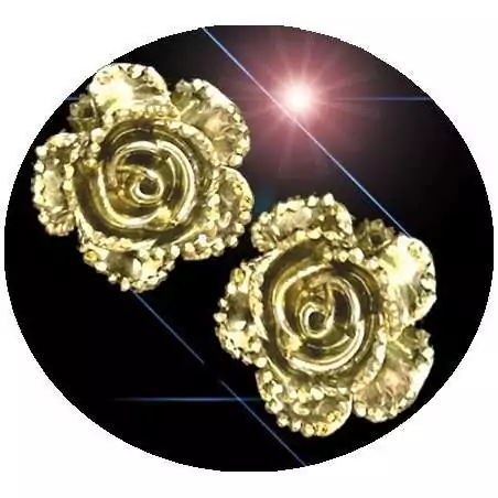 Envie de décorer vos chaussures ? Décorations fleurs&nbsp;argentées /dorées