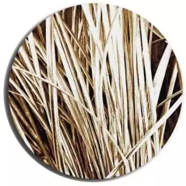 Lacets fins métallisés dorés pour vos chaussures