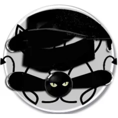 Envie de décorer vos chaussures ? Décorations têtes de chats noirs 2