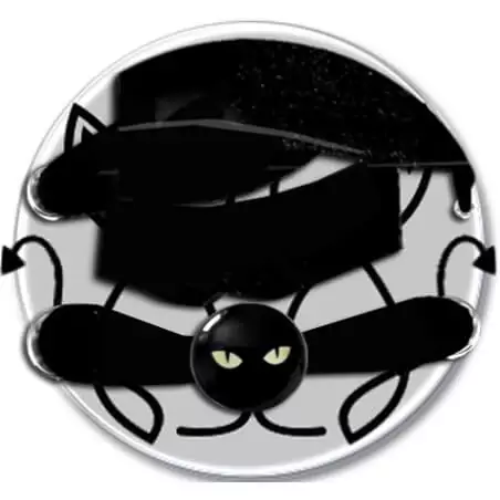 Envie de décorer vos chaussures ? Décorations têtes de chats noirs