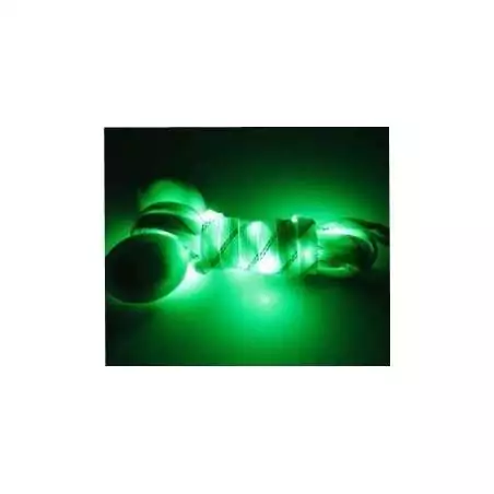 Lacets lumineux colorés pour vos chaussures