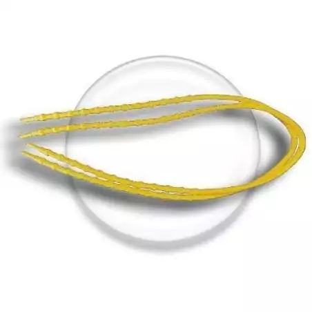 Lacets sans noeud silicone autobloquants pour vos chaussures de spost