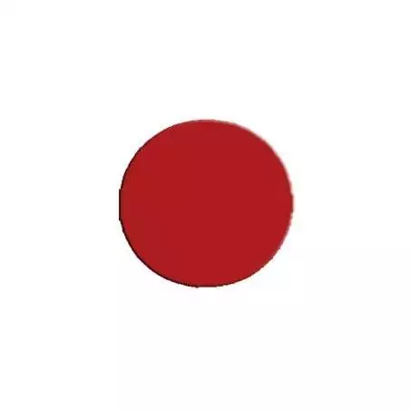 Lacets sans noeud silicone autobloquants pour vos…